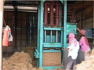 Baling coir fiber