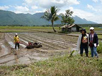 Unlad Kabayan Work in Mindanao Agriculture