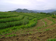 Unlad Kabayan Vision and Mission Statement